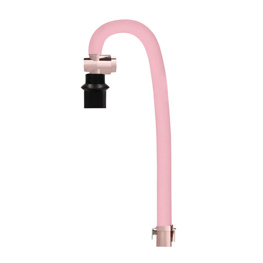 succhia clitoride vagina pumped rosa