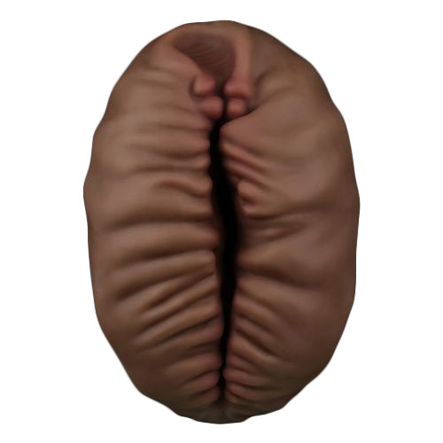 #COLORE_MARRONE CHIARO