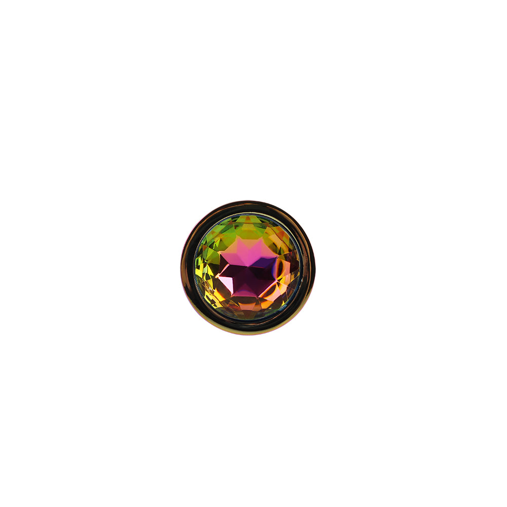 plug anale classic rainbow l chisa