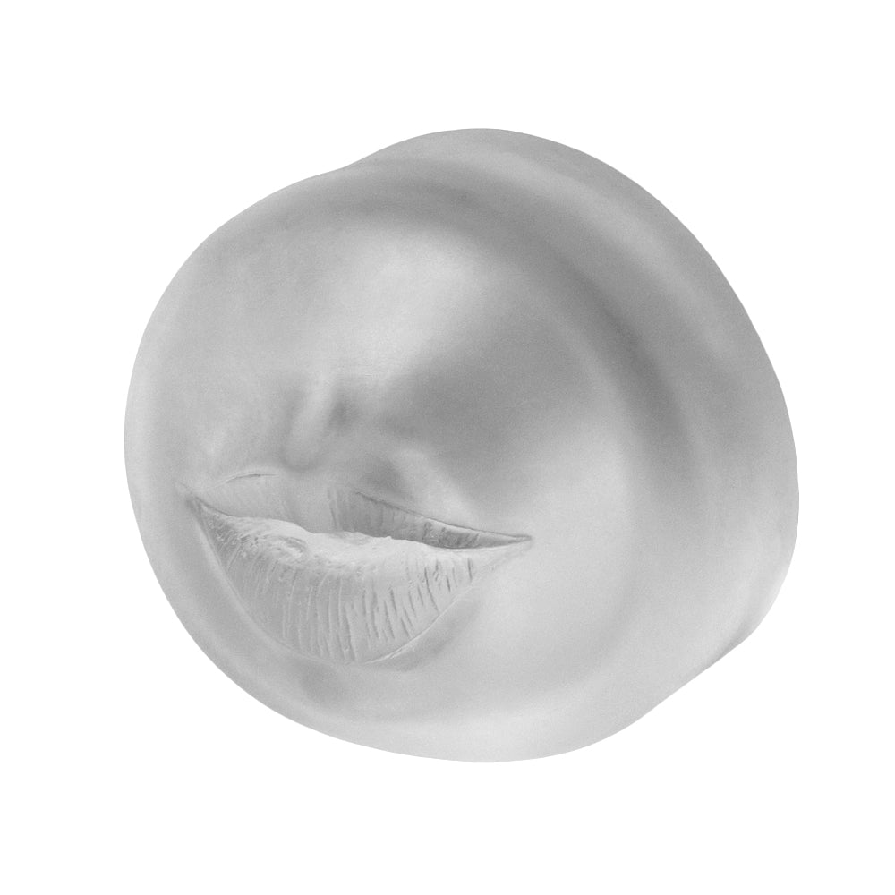 pompa sviluppatore pene vx5 lovetoy fronte